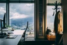 business outlook for companies