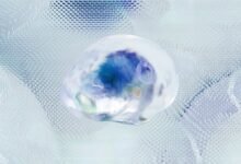 data intelligence numerical identifiers