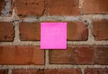 industry insights bulletin update