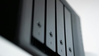 professional digital backup services